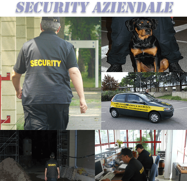 Sicurezza aziendale